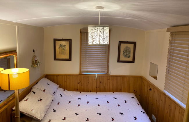 Shepherds Hut-1 Bed-hot Tub -views - Foto 2