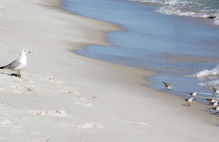 Paradise 24 7 - Foto 40