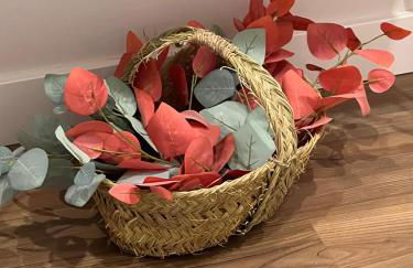 WONDERFUL APARTMENT IN THE HEART OF VALENCIA - Foto 23