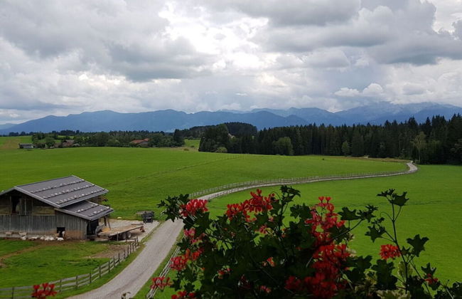 Holiday Apartment Almstuberl - Photo 30