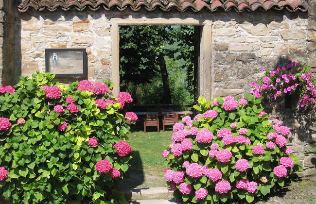 Guest House in Monferrato With Castle Views - Foto 23