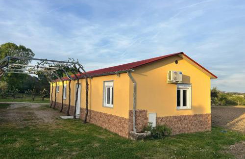 Quinta Cabeço do Barragão - Foto 21