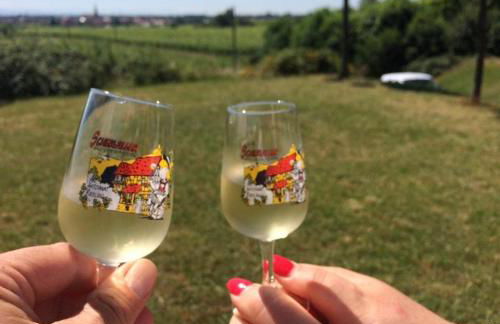 Gite Du Rittersberg - Foto 42