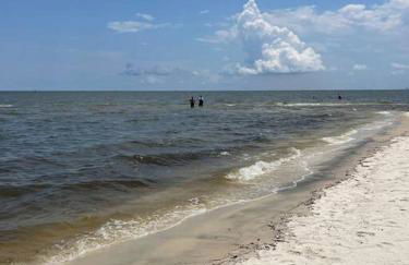 Feels like HOME escape, 1/2 Mile to beach - Foto 18