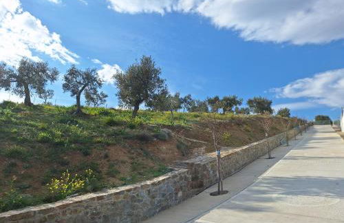 Physis Fokida - Foto 21