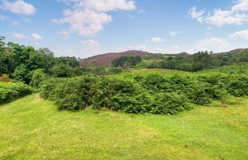 1 Bronrallt - Foto 24