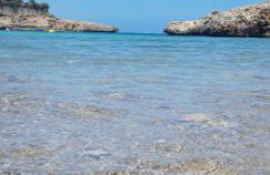 Beach view apartment of 87 m2, big terrace - Foto 14