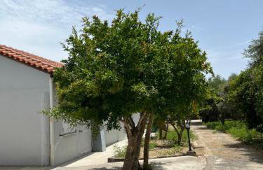 Glykoriza Cottage - Foto 20