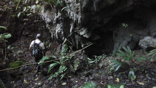 Paisagens de Tingo María