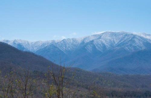 The Squirrel's Nest by Jackson Mountain Rentals - Foto 50