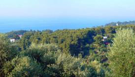 Vallenoci - Foto 2, Garden view