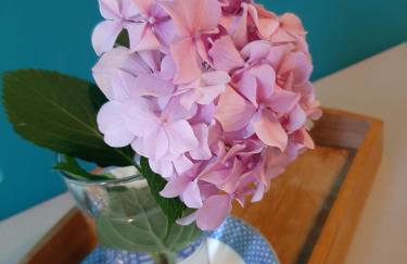 Apartments Mladinić - Foto 15