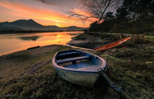 Amalur EBI 741 URDAIBAI - Photo 70