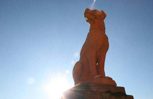 Agriturismo la Torre - Foto 73