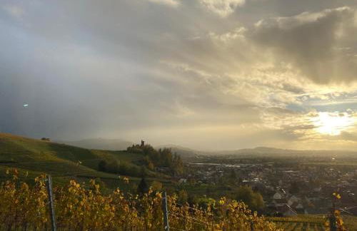 Graceland In the Black Forest - Foto 95