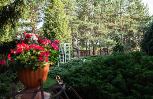 Noclegi Ciesiul - Foto 27