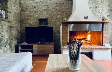 Citrus garden - Photo 45