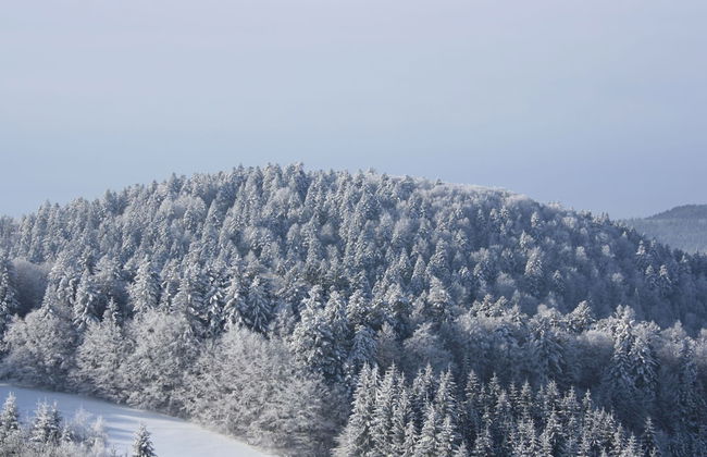 Spacious Apartment in Wehrhalden near Cross Country Skiing - Foto 36