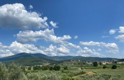 Accanto a Firenze - Foto 44