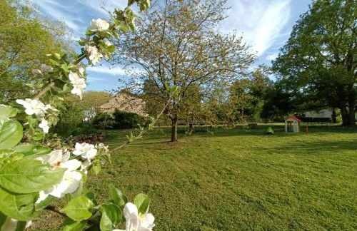 Gîte climatisé VILLA ESPERANZA à Valençay 2 à 5 p proche zoo de Beauval et châteaux Pour touristes et travailleurs - Foto 7
