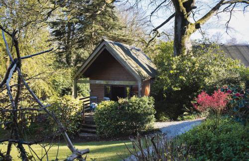 The Beech Hut, Wood Fired Hot Tub, St Kew Escapes - Foto 16