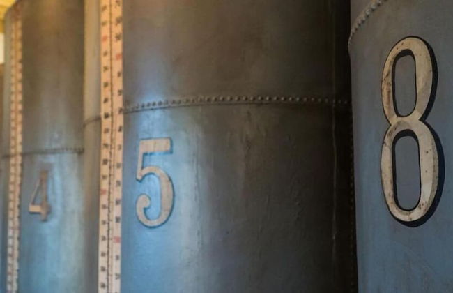 Molino la Nava - Foto 48