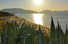 Azienda Agrituristica Baglio Carta - Foto 25