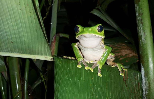 Reserva Natura Park in 3, 4, 5 o 6 giorni - Foto 8