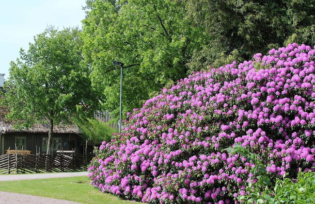 4 Person Holiday Home in Molkom-by Traum - Foto 26