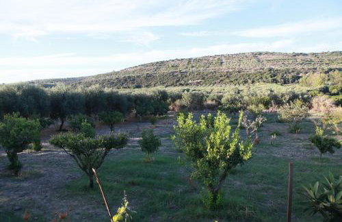 La Villa del Relax - Foto 33