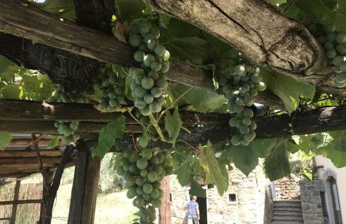 Agriturismo Da Nonna Argia - Foto 18