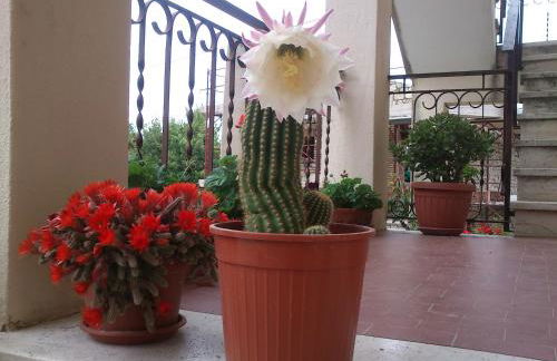 Borgo Buciardella - Foto 23