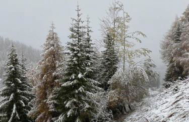 Résidence le DORONIC Duplex 8 pers La Plagne 1800 - Foto 66
