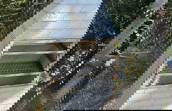 Sítio Toca da Aldeia - Foto 30