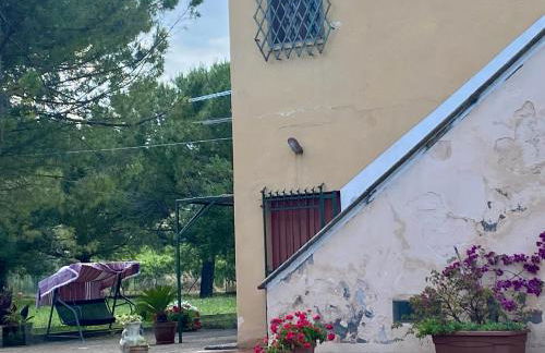 Adamasseria - Foto 14