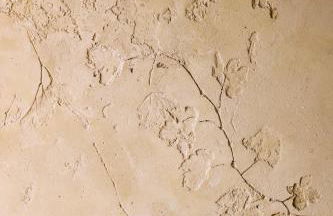 La Ghiandaia Farmhouse - Photo 7