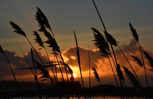 Reethäuser auf Rügen - Foto 21
