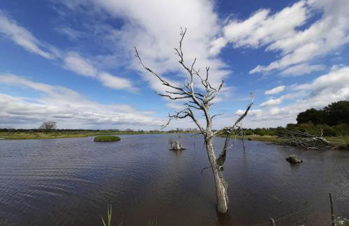 Ferienwohnung Fischerstieg - Foto 35