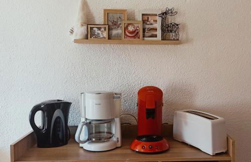Ustou Guzet neige, appartement de 32 M2 avec balcon dans les Pyrénées aux pieds des pistes - Foto 4