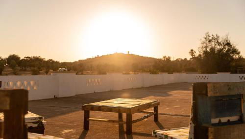 Herdade da Ordem - Foto 5