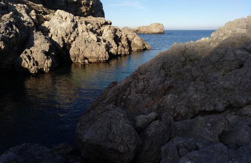 Escapada a l'Estartit - Argonavis - Foto 36