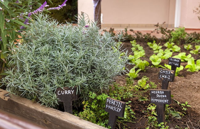 Los Amigos Beach Club - Foto 53