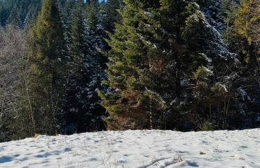 Na Świerkowym Strychu - Photo 5