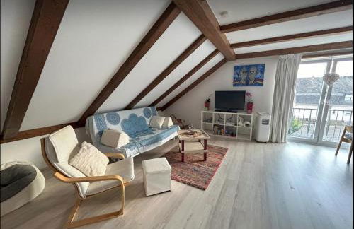 Must love dogs - Foto 1