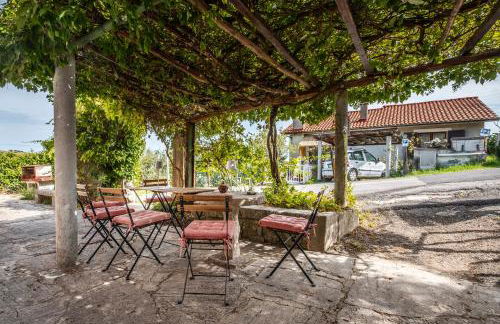 La Balena Rosa - Foto 23