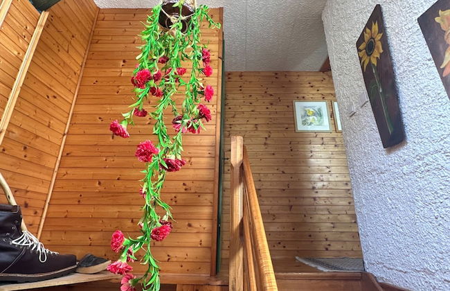 Apartma Pohar- A Bit Different! - Foto 3