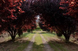 Scappo in Umbria, Torre Angelina - Foto 46
