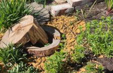 Żurawisko - Domki wśród natury - Foto 21