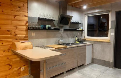 Domki całoroczne - u Ptaka - Miłków - Foto 47