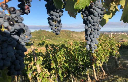 Il fienile - Foto 45